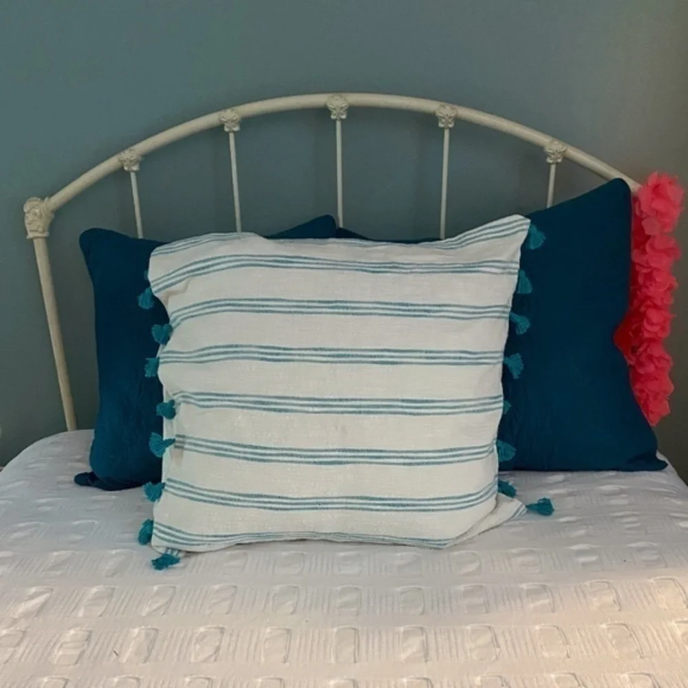 Anthropologie Blue Striped Pillow  Tassel Shams